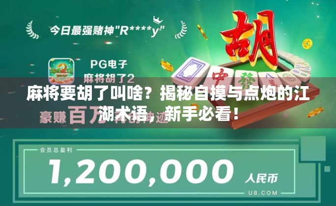 麻将要胡了叫啥？揭秘自摸与点炮的江湖术语，新手必看！